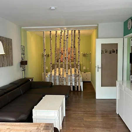 App 624 Panoramic Hohegeiss Terrassenhaus * Braunlage