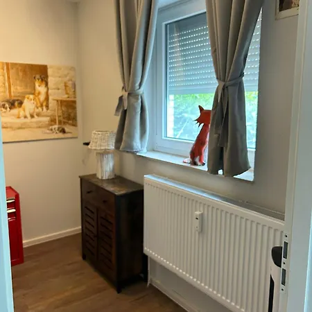 App 624 Panoramic Hohegeiss Terrassenhaus *