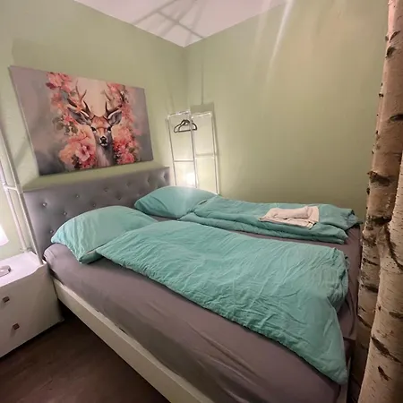 App 624 Panoramic Hohegeiss Terrassenhaus