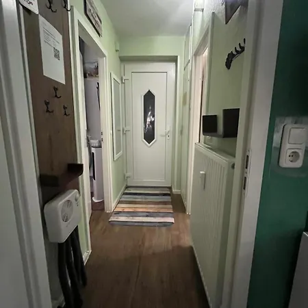 App 624 Panoramic Hohegeiss Terrassenhaus *