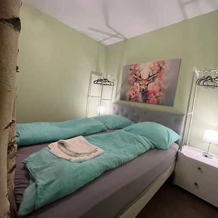 App 624 Panoramic Hohegeiss Terrassenhaus * בראונלאגה