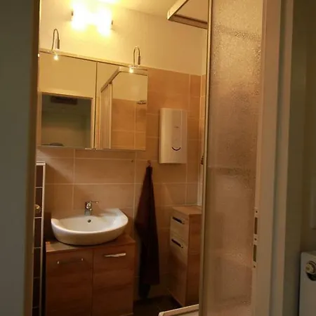 App 624 Panoramic Hohegeiss Terrassenhaus